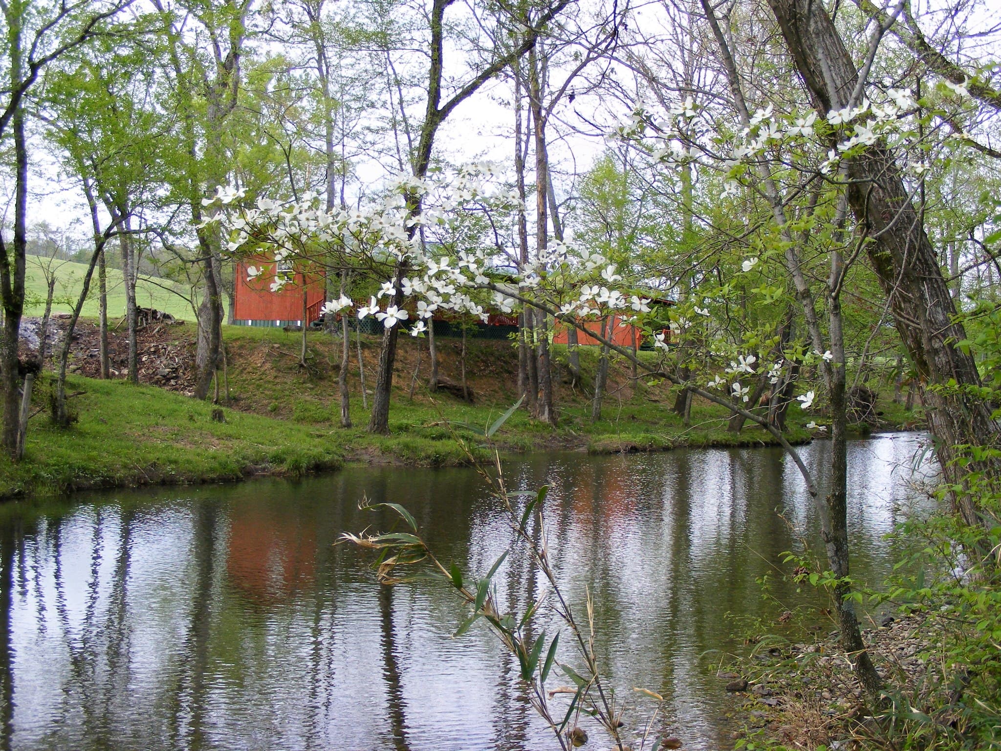 At Living Water Cabins near Glenwood and Mount Ida Arkansas