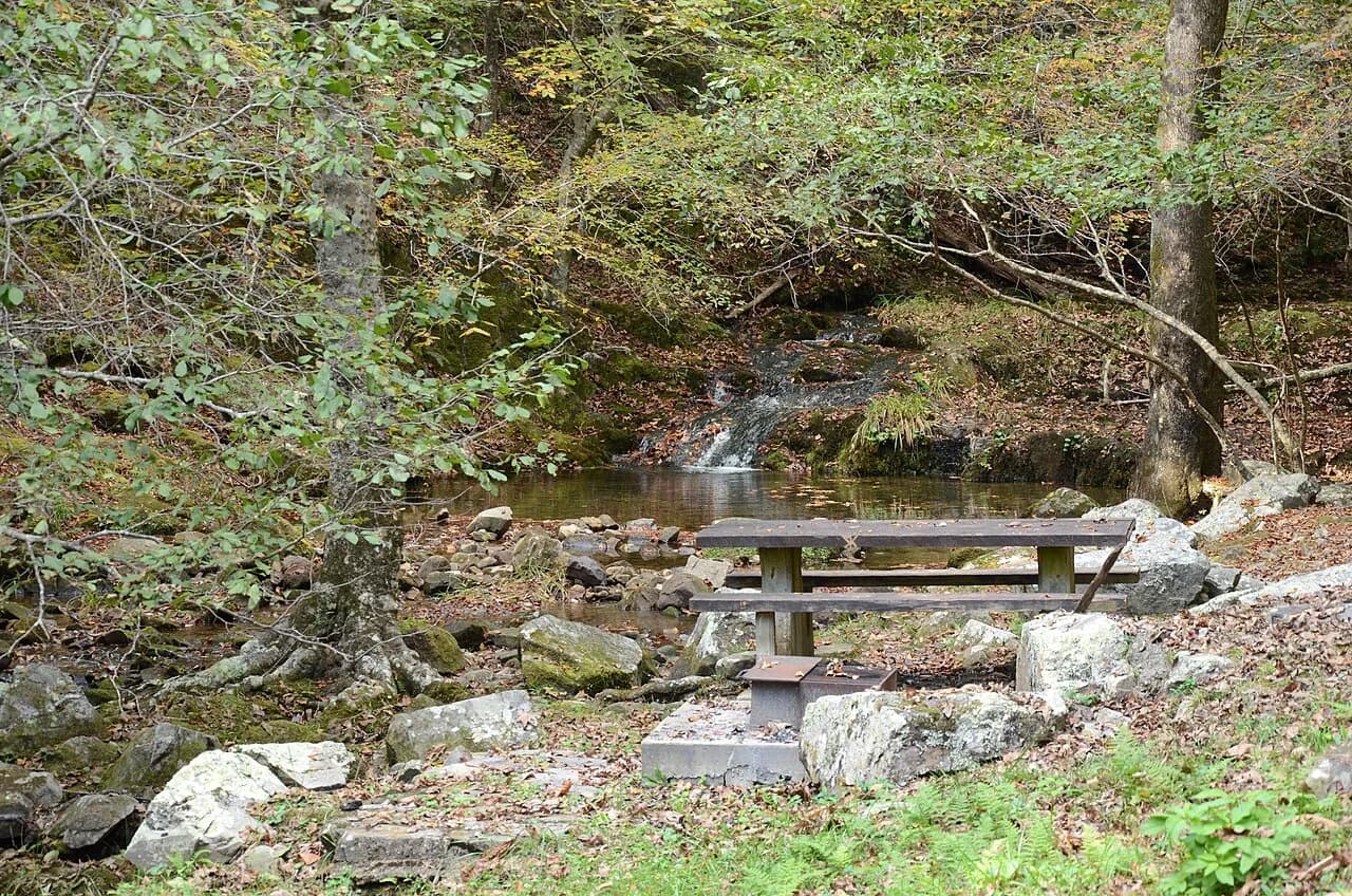 Picnic table, grill, spring, and woods at Collier Springs Arkansas