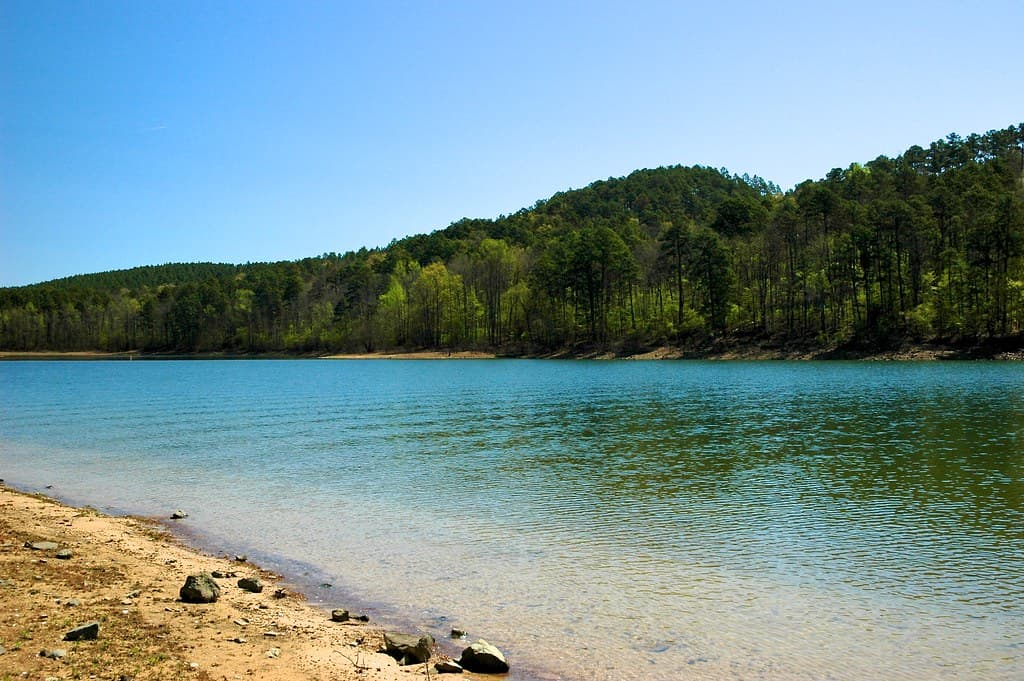Fishing near Glenwood, Arkansas