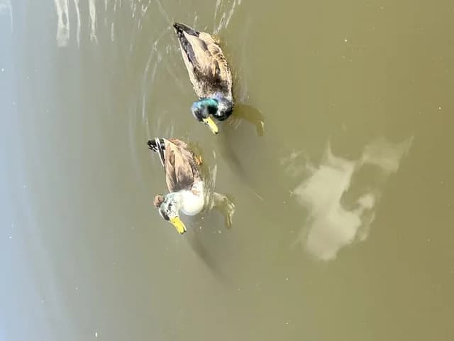 Things to do in Glenwood Arkansas with kids