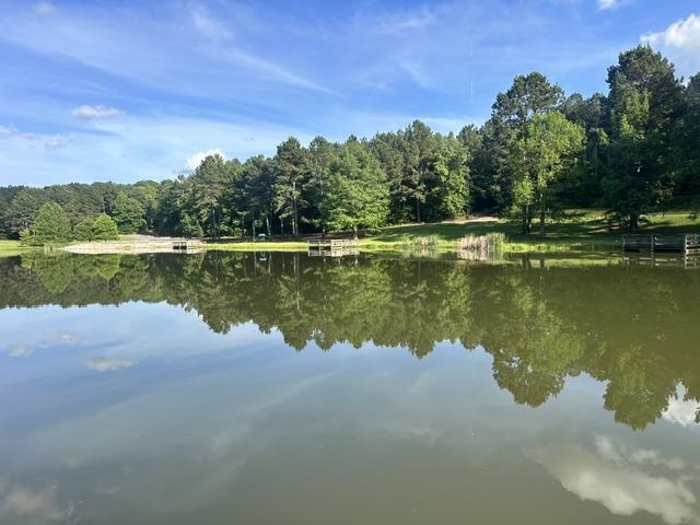Water view at John Benjamin Glenwood Community Fishing Pond